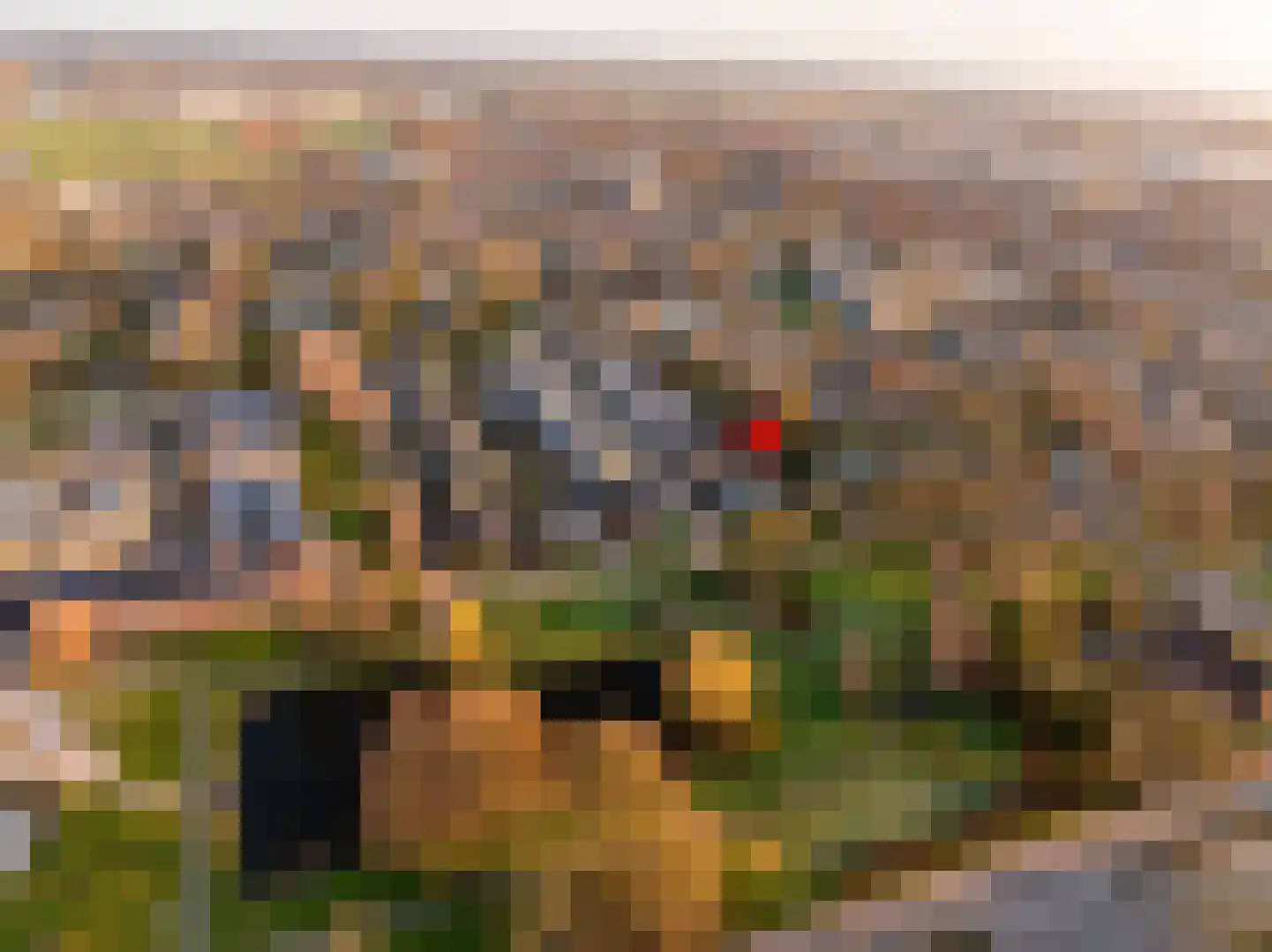Pieter de Hooghstraat 35 Hoogeveen thumbnail 5