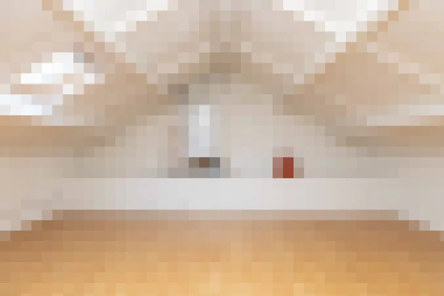 Pieter de Hooghstraat 35 Hoogeveen thumbnail 52