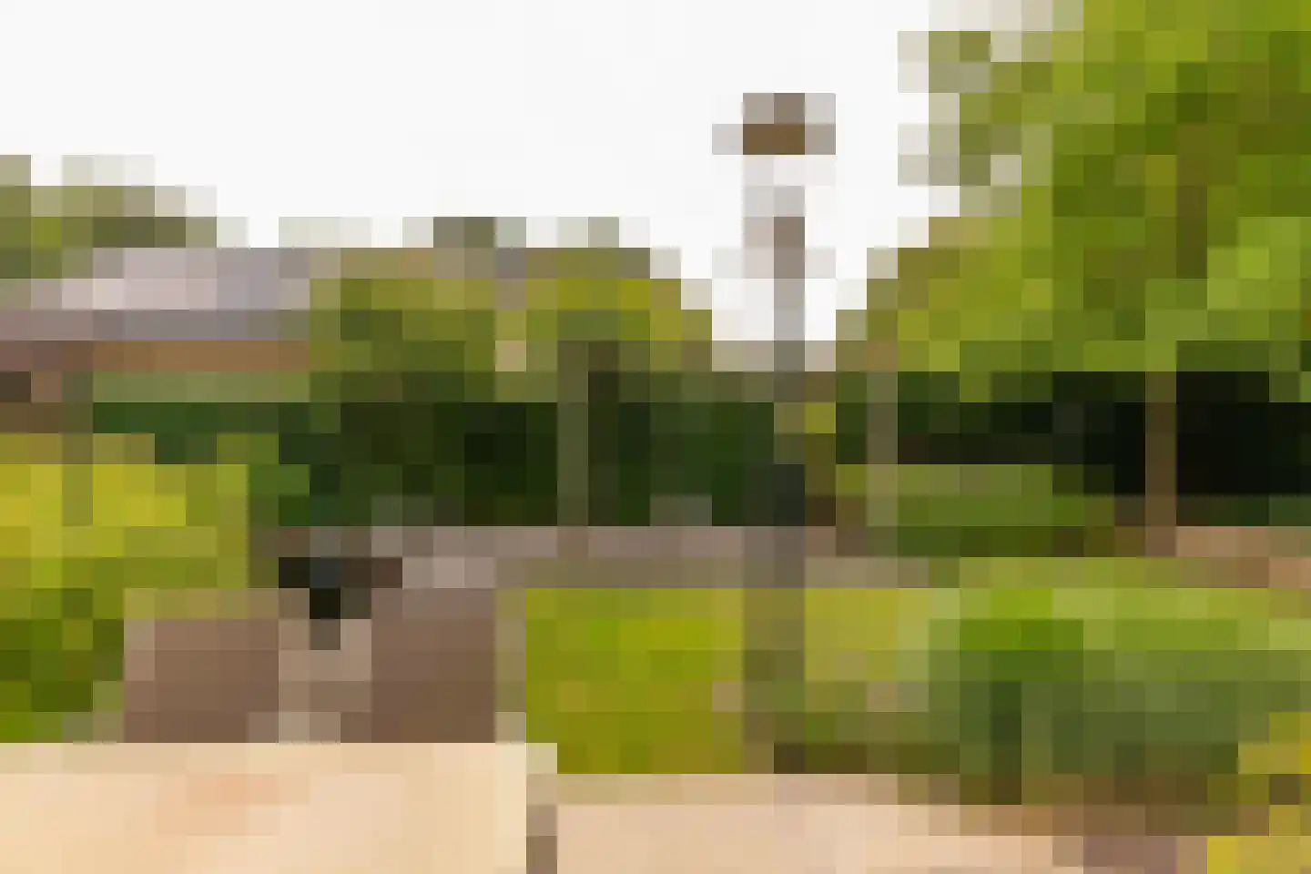 Pieter de Hooghstraat 35 Hoogeveen thumbnail 59