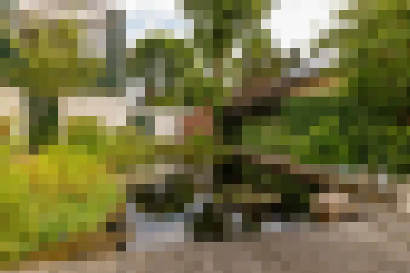 Pieter de Hooghstraat 35 Hoogeveen thumbnail 61