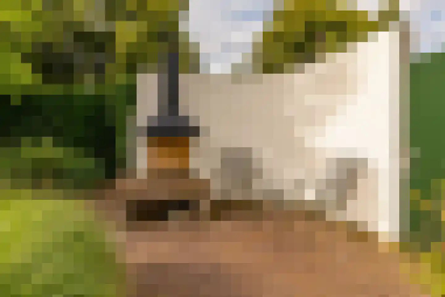 Pieter de Hooghstraat 35 Hoogeveen thumbnail 63