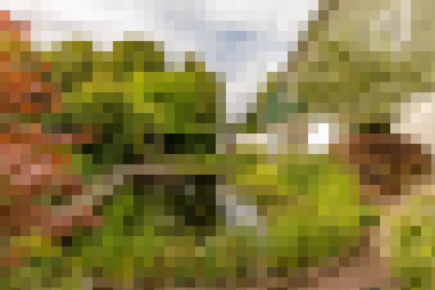 Pieter de Hooghstraat 35 Hoogeveen thumbnail 65