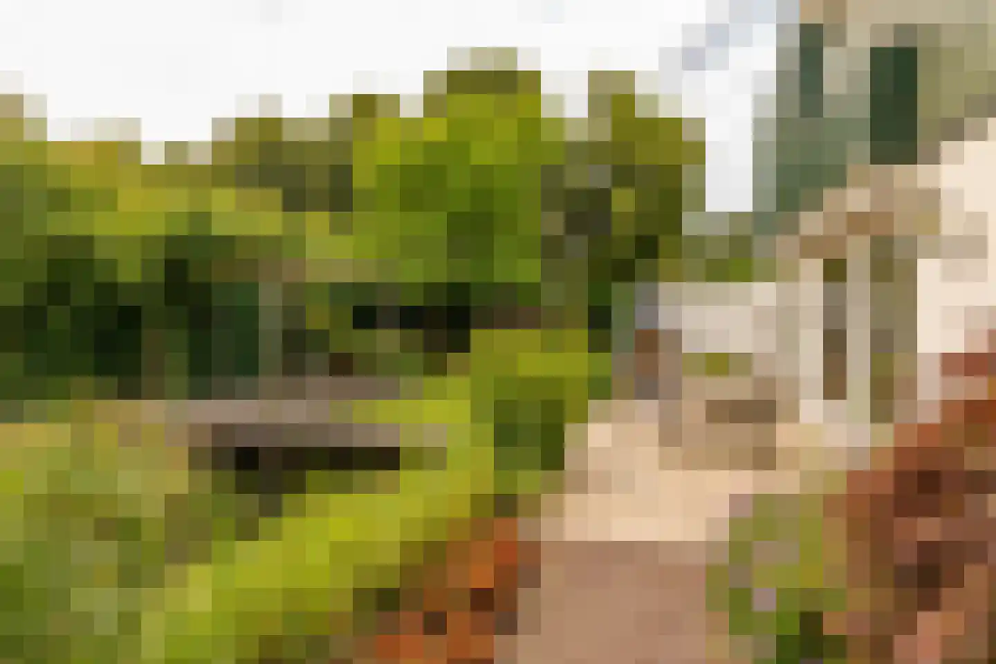 Pieter de Hooghstraat 35 Hoogeveen thumbnail 66