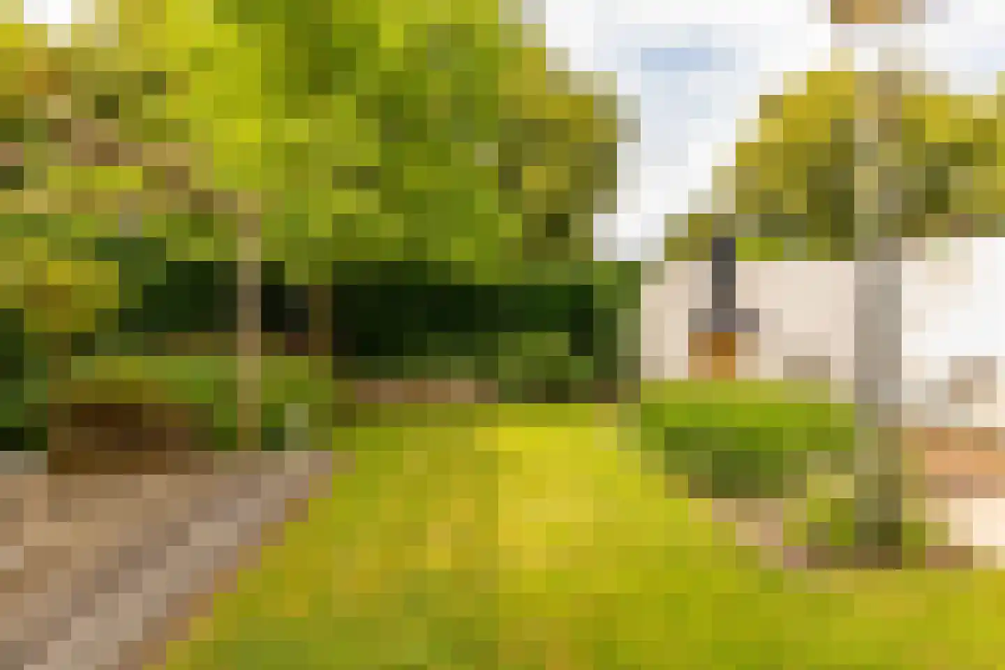 Pieter de Hooghstraat 35 Hoogeveen thumbnail 68
