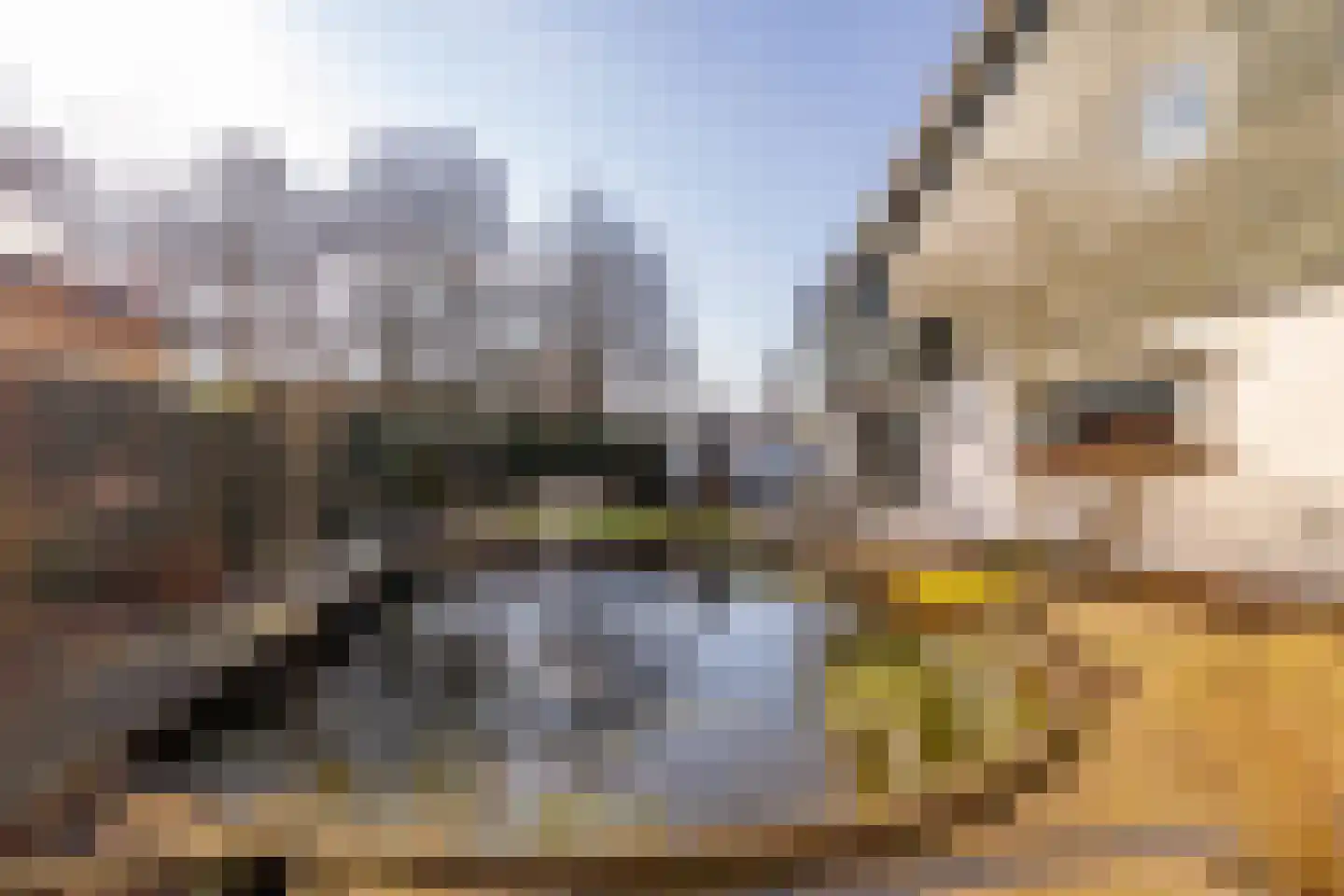 Pieter de Hooghstraat 35 Hoogeveen thumbnail 68