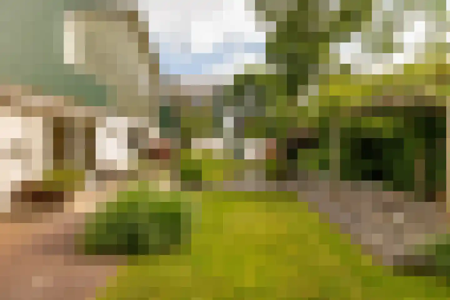 Pieter de Hooghstraat 35 Hoogeveen thumbnail 69