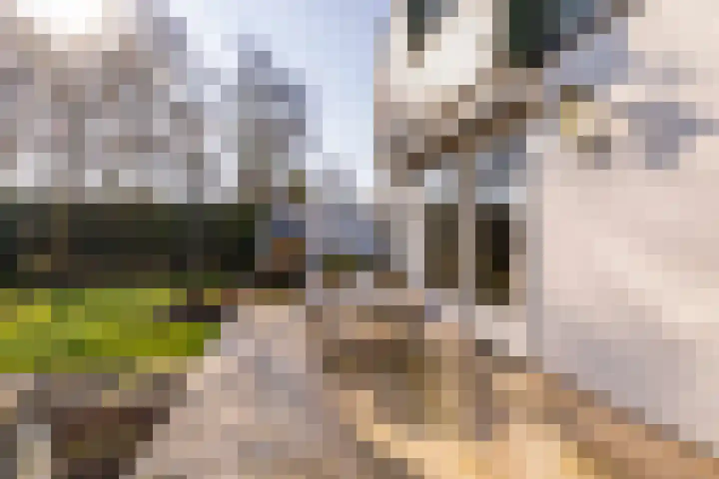 Pieter de Hooghstraat 35 Hoogeveen thumbnail 70