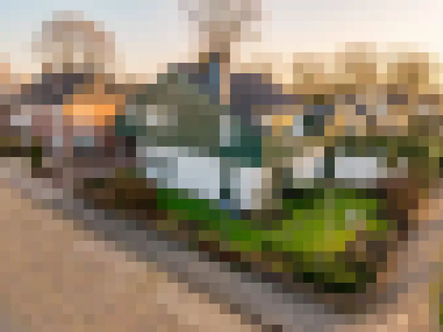 Pieter de Hooghstraat 35 Hoogeveen thumbnail 79