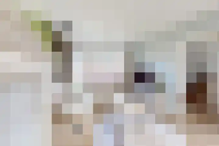 Pieter de Hooghstraat 37 Fijnaart thumbnail 10