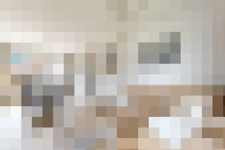 Pieter de Hooghstraat 37 Fijnaart thumbnail 13