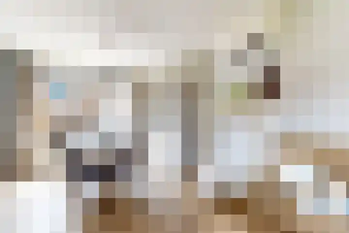 Pieter de Hooghstraat 37 Fijnaart thumbnail 14