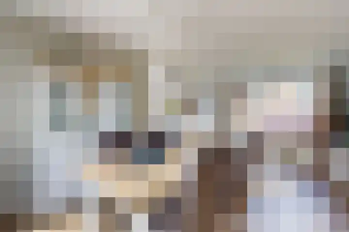 Pieter de Hooghstraat 37 Fijnaart thumbnail 16
