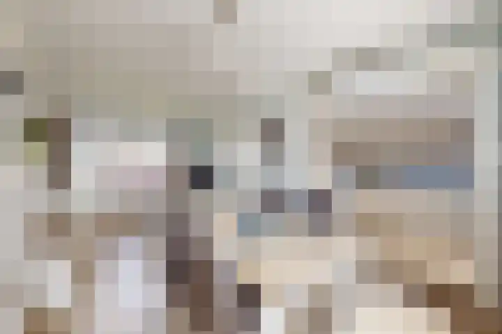 Pieter de Hooghstraat 37 Fijnaart thumbnail 17