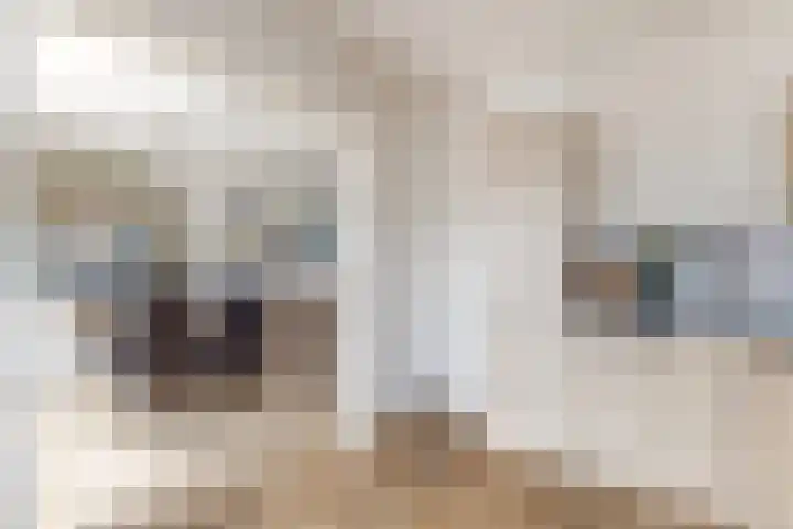 Pieter de Hooghstraat 37 Fijnaart thumbnail 18