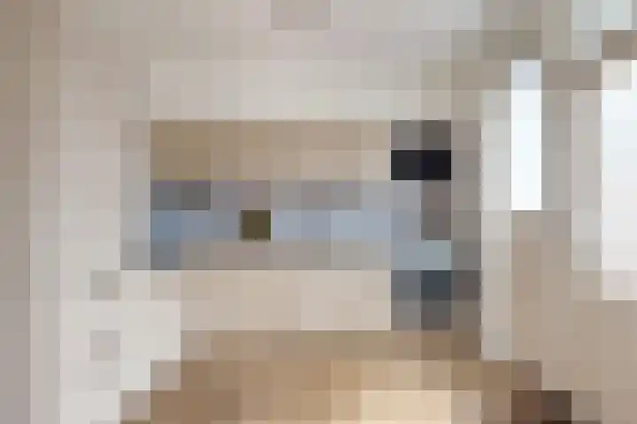 Pieter de Hooghstraat 37 Fijnaart thumbnail 19