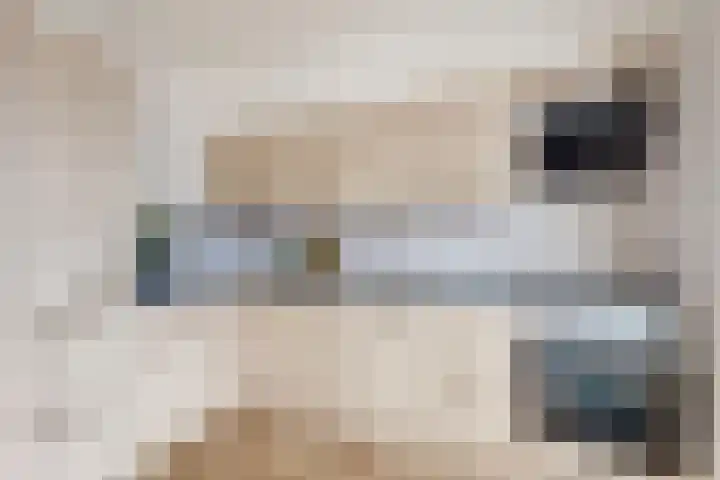 Pieter de Hooghstraat 37 Fijnaart thumbnail 20