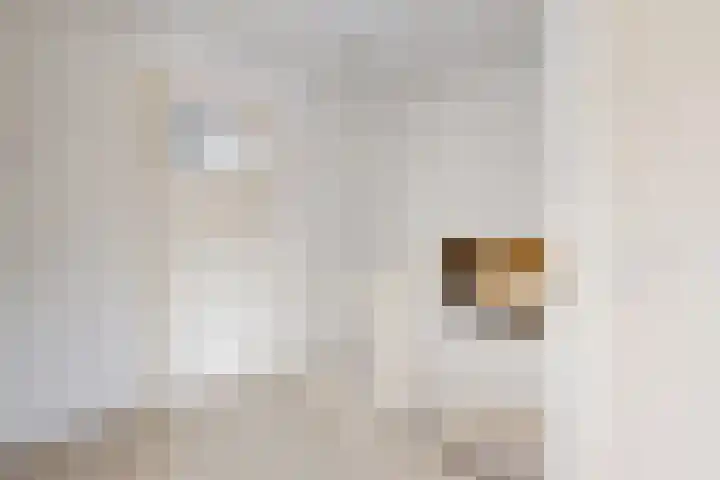 Pieter de Hooghstraat 37 Fijnaart thumbnail 22