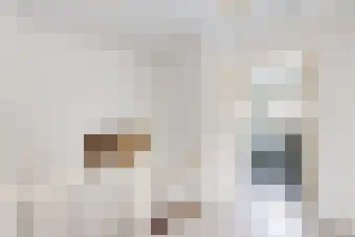 Pieter de Hooghstraat 37 Fijnaart thumbnail 23