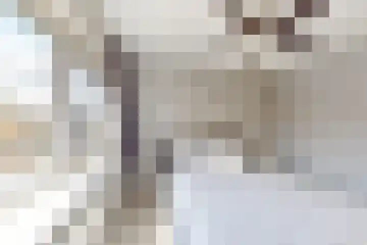 Pieter de Hooghstraat 37 Fijnaart thumbnail 26