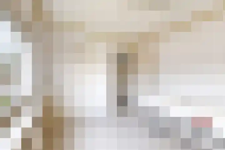 Pieter de Hooghstraat 37 Fijnaart thumbnail 27