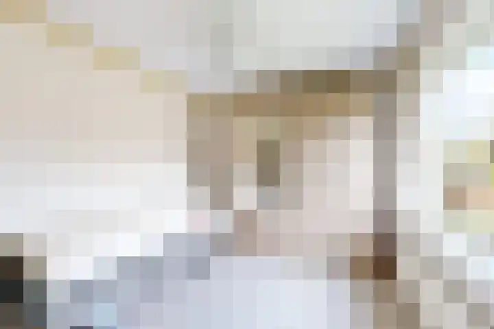 Pieter de Hooghstraat 37 Fijnaart thumbnail 28