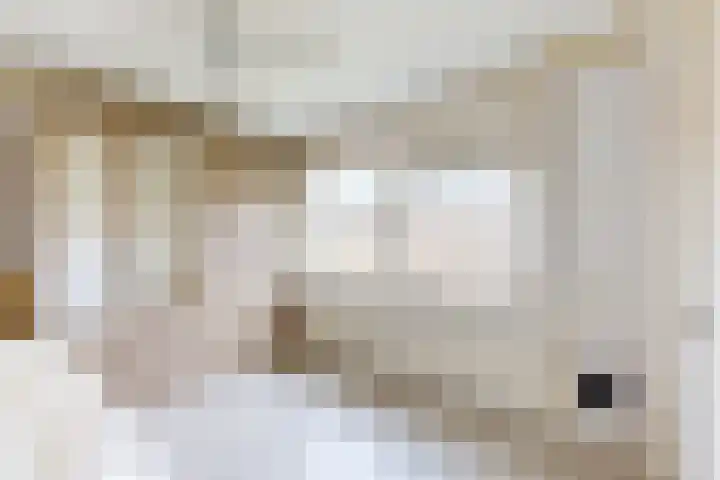 Pieter de Hooghstraat 37 Fijnaart thumbnail 29