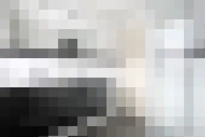 Pieter de Hooghstraat 37 Fijnaart thumbnail 30