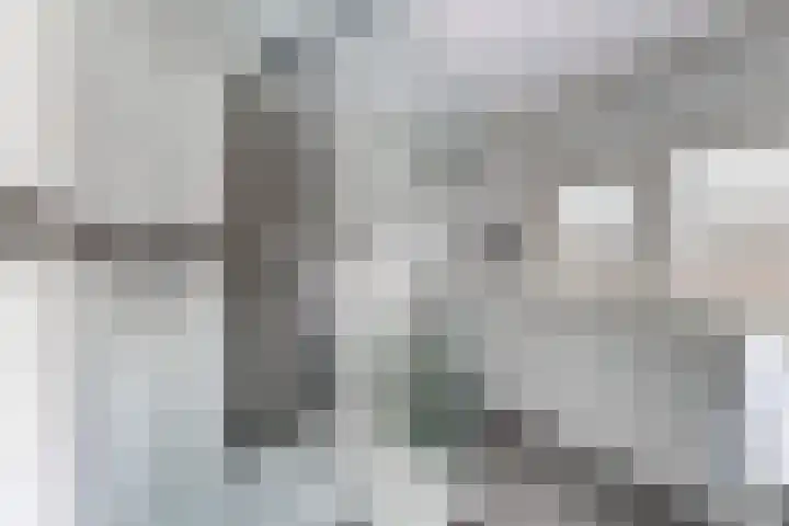 Pieter de Hooghstraat 37 Fijnaart thumbnail 33