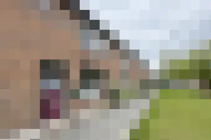 Pieter de Hooghstraat 37 Fijnaart thumbnail 43