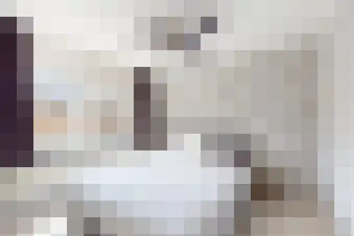 Pieter de Hooghstraat 37 Fijnaart thumbnail 6