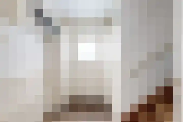 Pieter de Hooghstraat 37 Fijnaart thumbnail 7