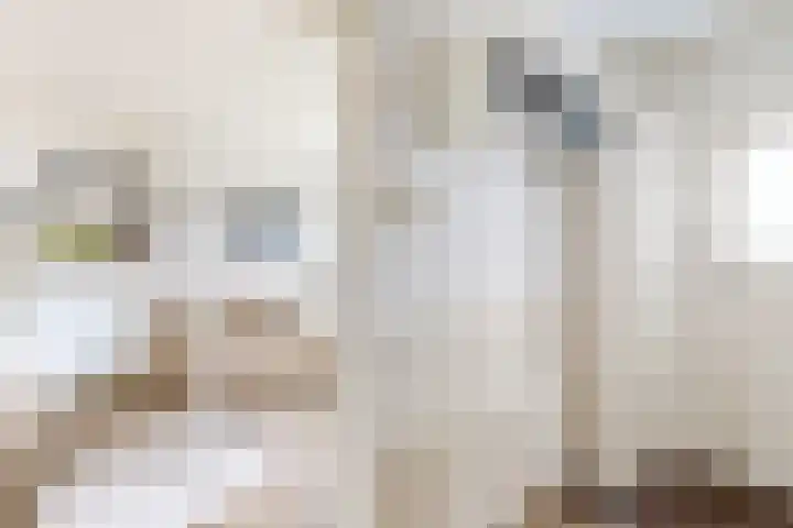 Pieter de Hooghstraat 37 Fijnaart thumbnail 9