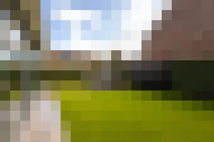 Pieter de Hooghstraat 39 Hardinxveld-Giessendam thumbnail 33