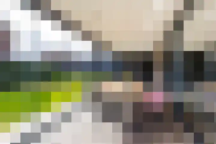 Pieter de Hooghstraat 39 Hardinxveld-Giessendam thumbnail 36