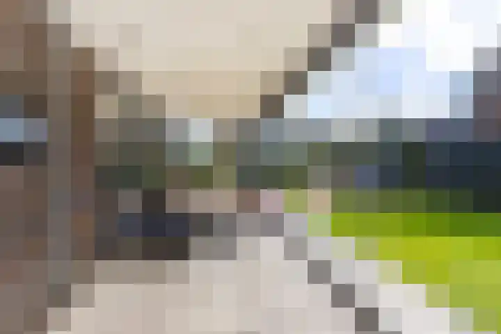 Pieter de Hooghstraat 39 Hardinxveld-Giessendam thumbnail 37