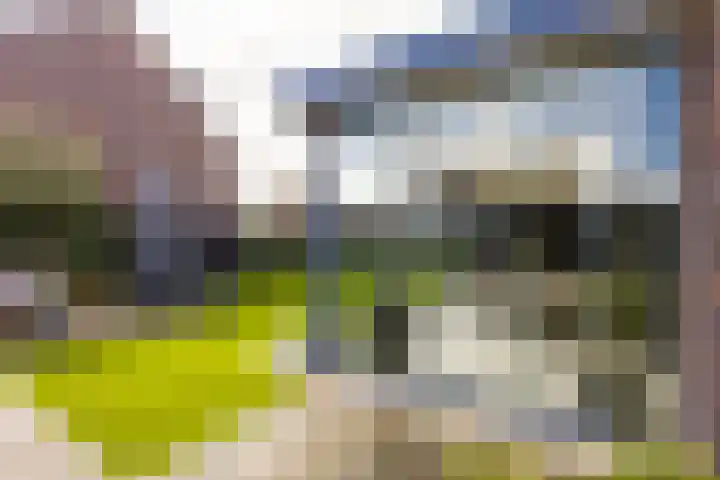 Pieter de Hooghstraat 39 Hardinxveld-Giessendam thumbnail 39
