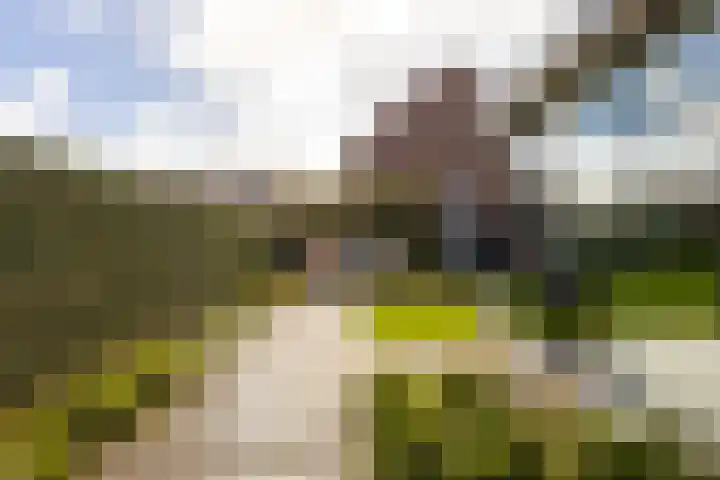 Pieter de Hooghstraat 39 Hardinxveld-Giessendam thumbnail 40
