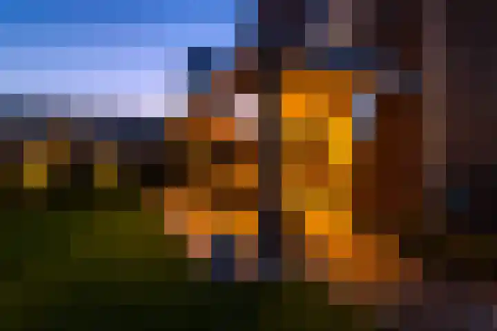 Pieter de Hooghstraat 39 Hardinxveld-Giessendam thumbnail 50