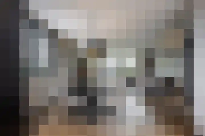 Pieter de Hooghstraat 39 Hardinxveld-Giessendam thumbnail 8