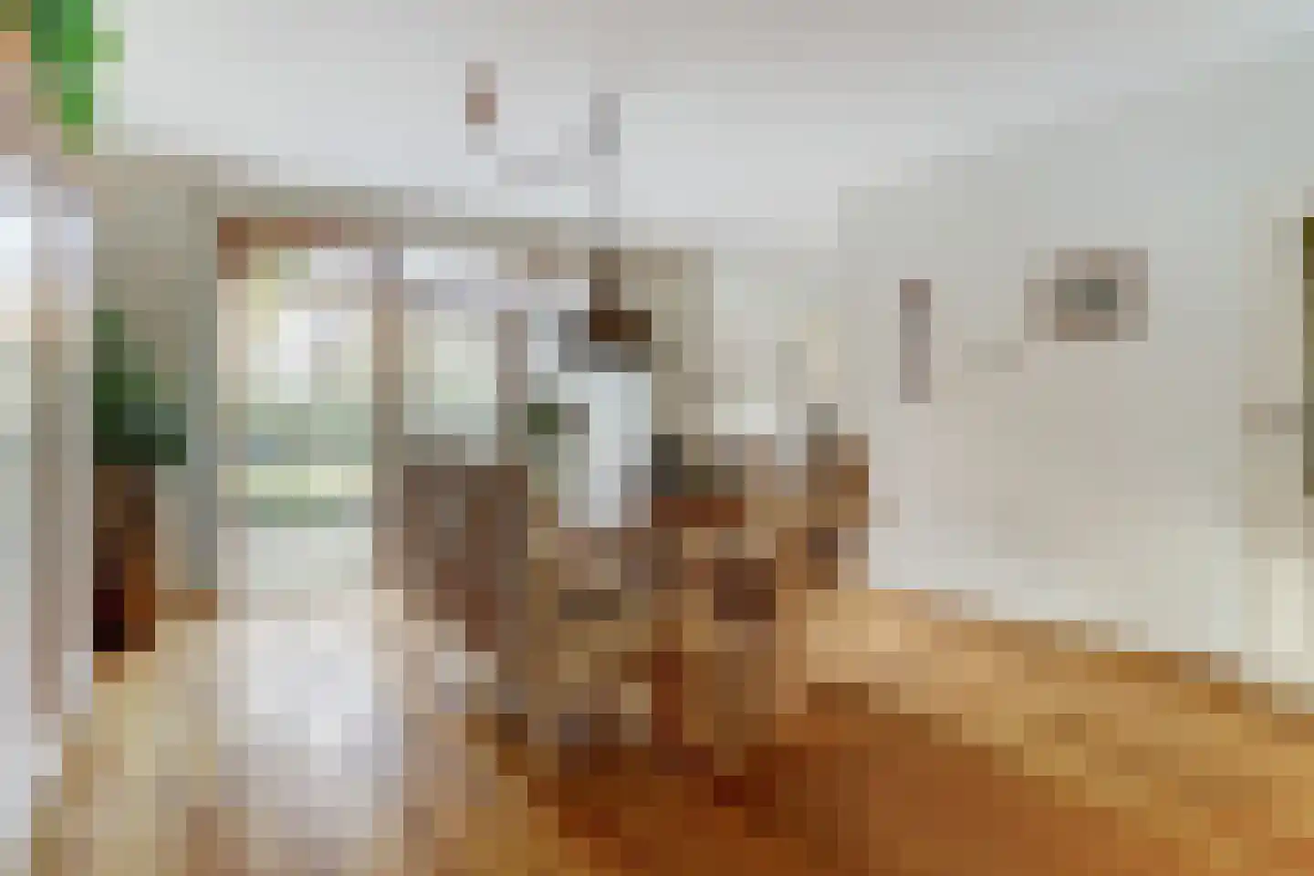 Pieter de Hooghstraat 4 Best thumbnail 10