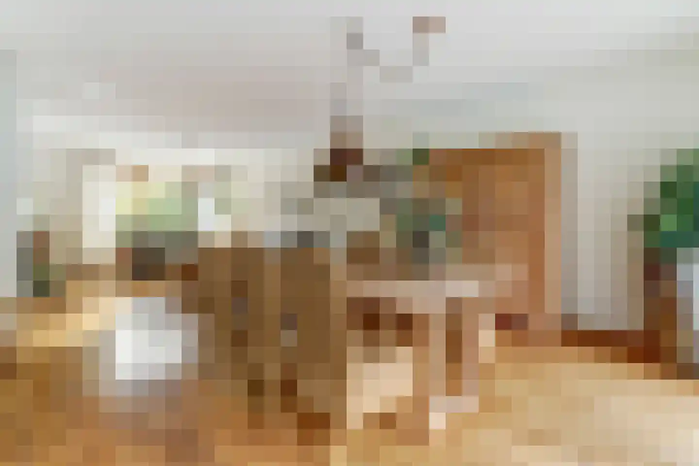 Pieter de Hooghstraat 4 Best thumbnail 12