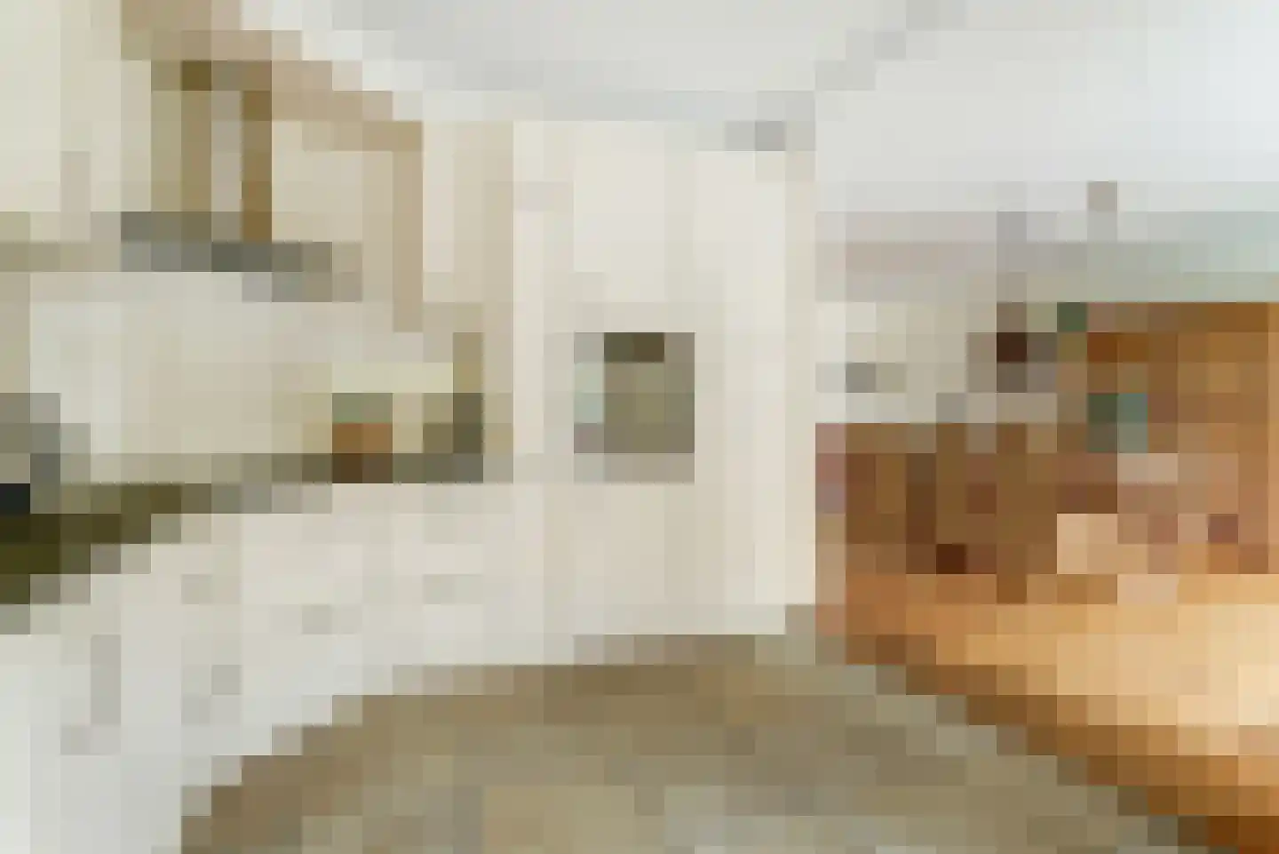 Pieter de Hooghstraat 4 Best thumbnail 16