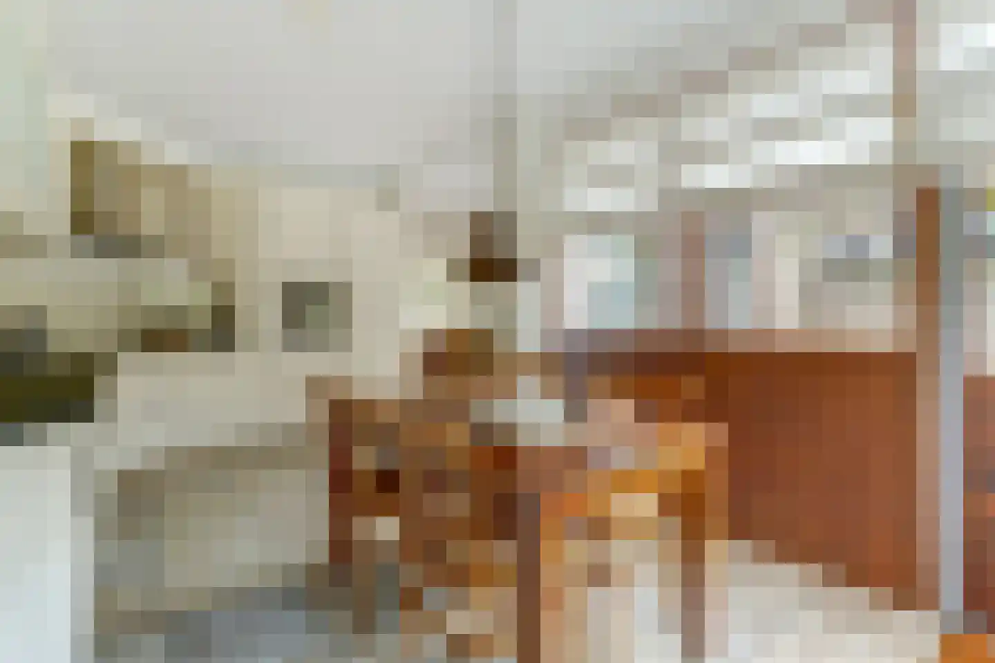 Pieter de Hooghstraat 4 Best thumbnail 17