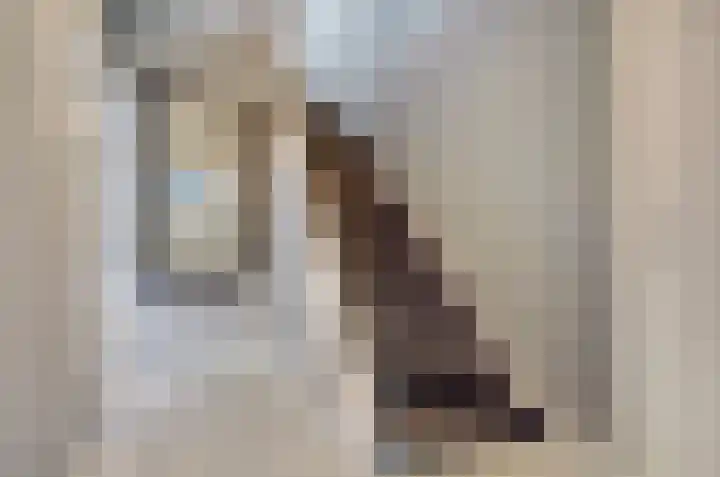 Pieter de Hooghstraat 4 Spijkenisse thumbnail 14