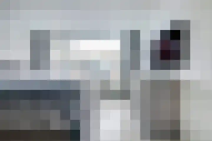 Pieter de Hooghstraat 4 Spijkenisse thumbnail 17