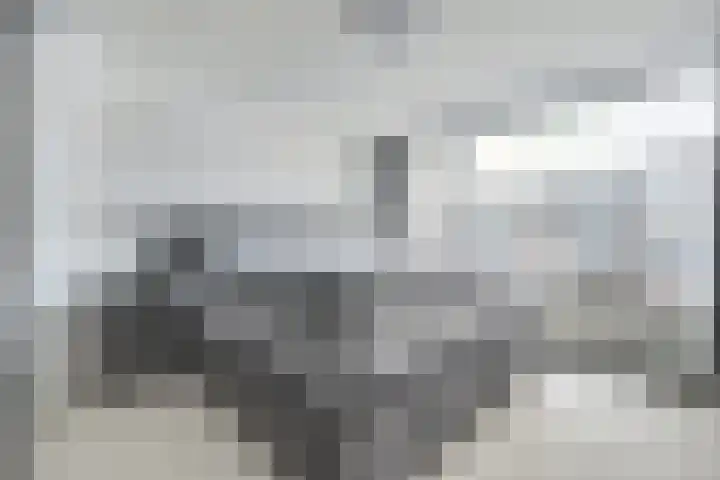 Pieter de Hooghstraat 4 Spijkenisse thumbnail 18