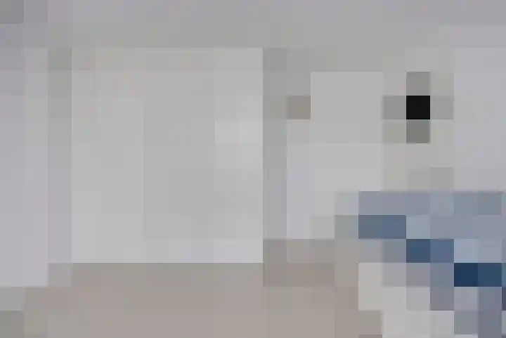 Pieter de Hooghstraat 4 Spijkenisse thumbnail 22