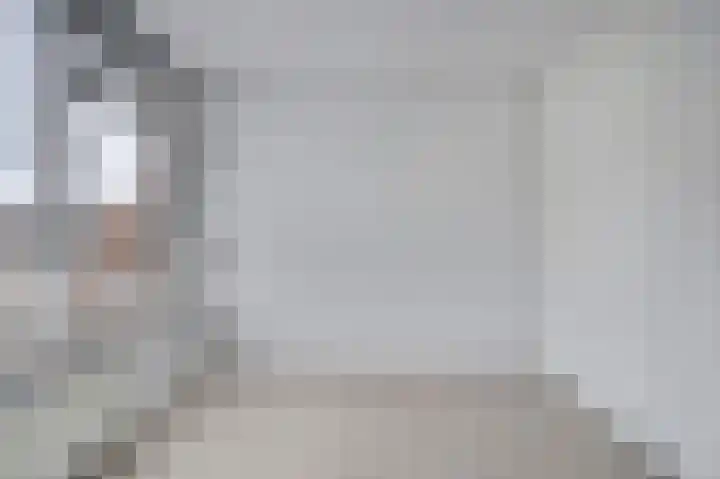Pieter de Hooghstraat 4 Spijkenisse thumbnail 23