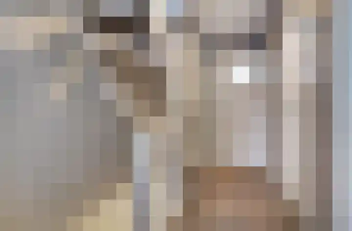 Pieter de Hooghstraat 4 Spijkenisse thumbnail 26