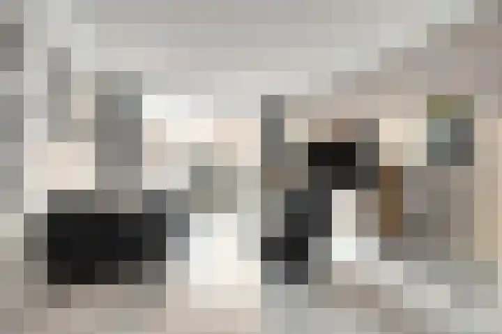 Pieter de Hooghstraat 4 Spijkenisse thumbnail 6
